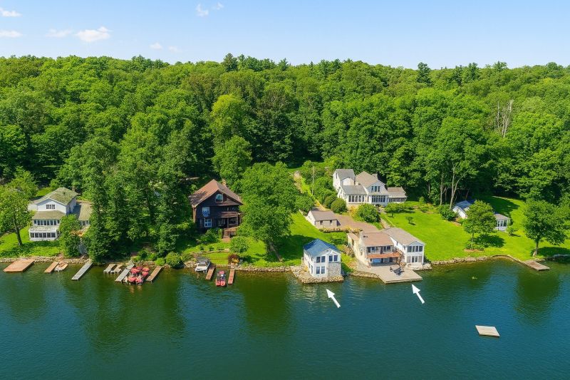 Lakefront Property Clearing