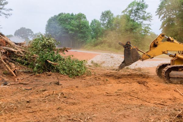 Cost of Ground Clearing in Boerne