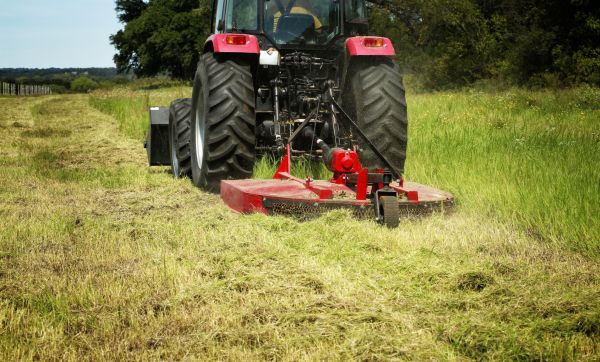 Cost of Brush Clearing Service in Boerne