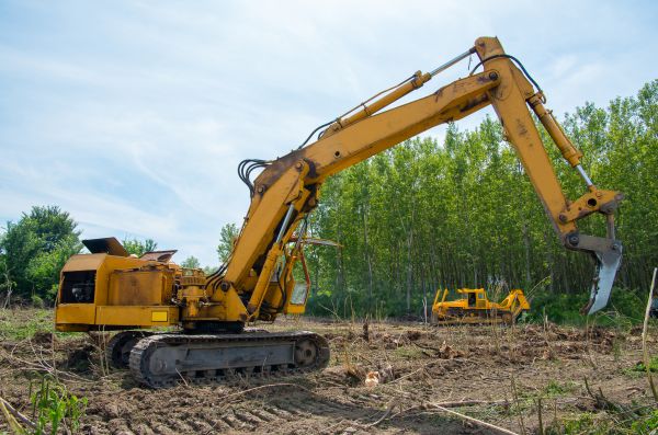 Cost of Farm Clearing in Boerne