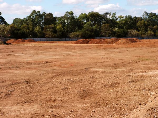 Cost of Field Clearing in Boerne