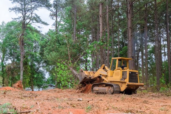 Cost of Property Clearing in Boerne
