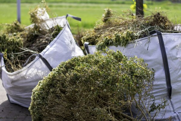 Cost of Bushes Clearing in Boerne