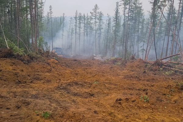 Cost of Hill Clearing in Boerne