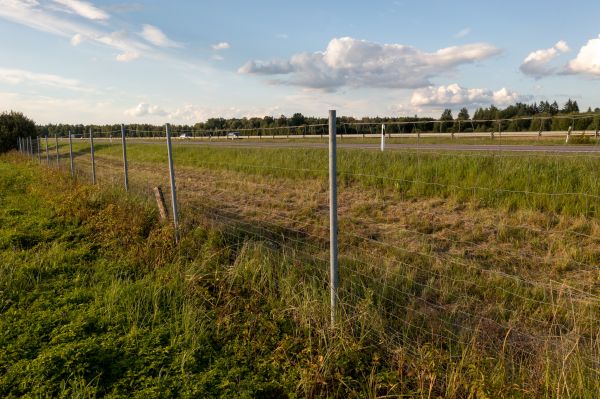 Cost of Property Line Clearing in Boerne