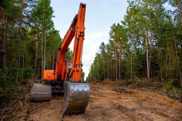 Cost of Backhoe Land Clearing in Boerne