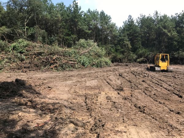 Cost of Thicket Clearing in Boerne