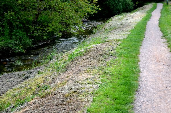 Cost of Trail Cutting in Boerne